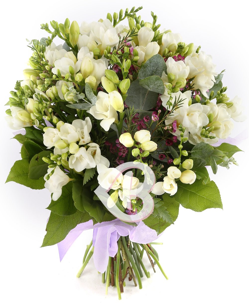 Livrare Buchet 35 Frezii Albe Decorate