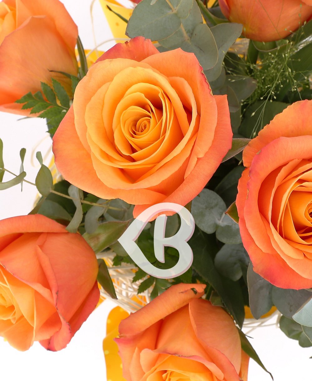 Imaginea produsului 9 Trandafiri Portocalii Ornați