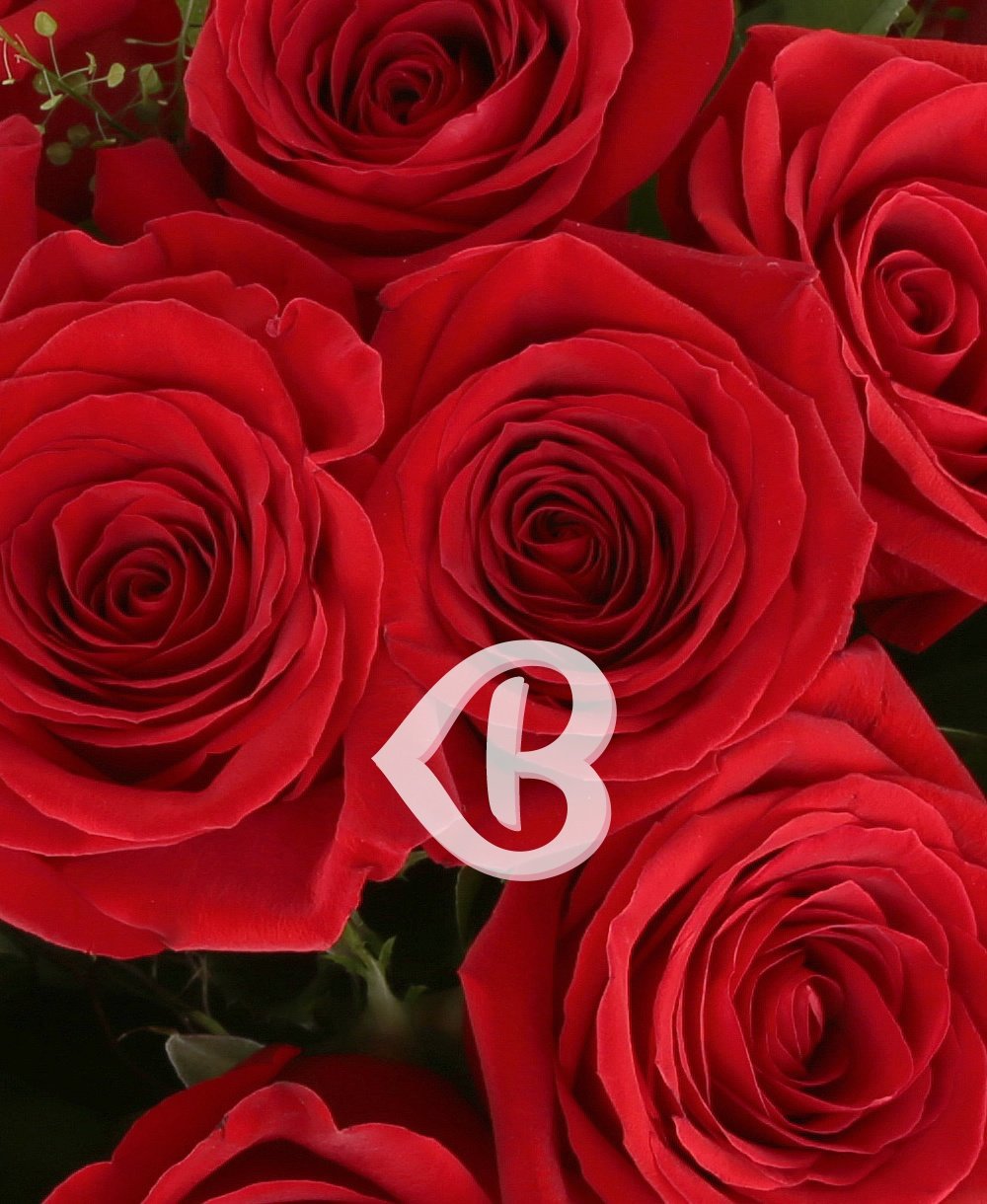 Imaginea produsului 19 Trandafiri Roșii
