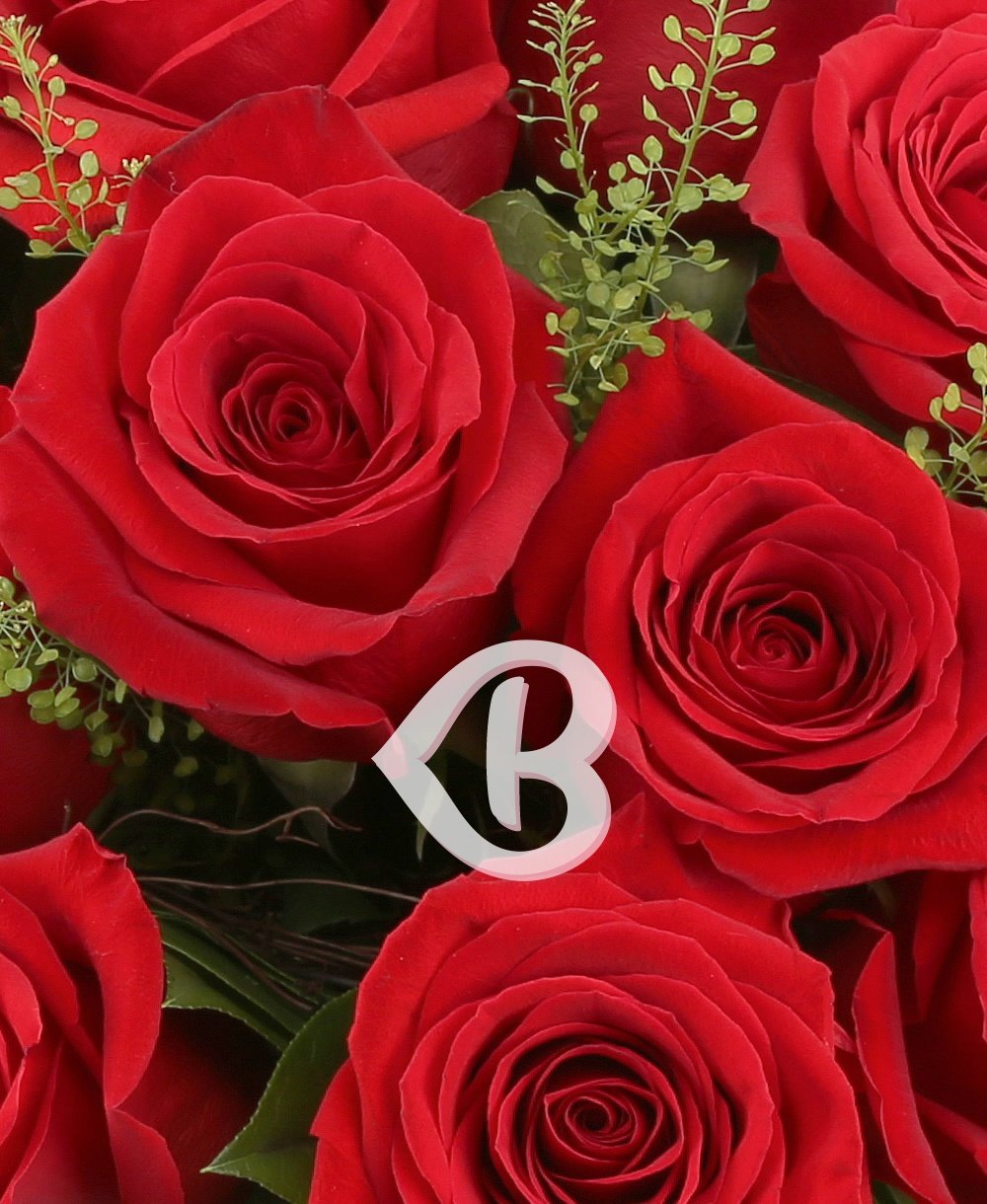 Imaginea produsului 23 Trandafiri Roșii