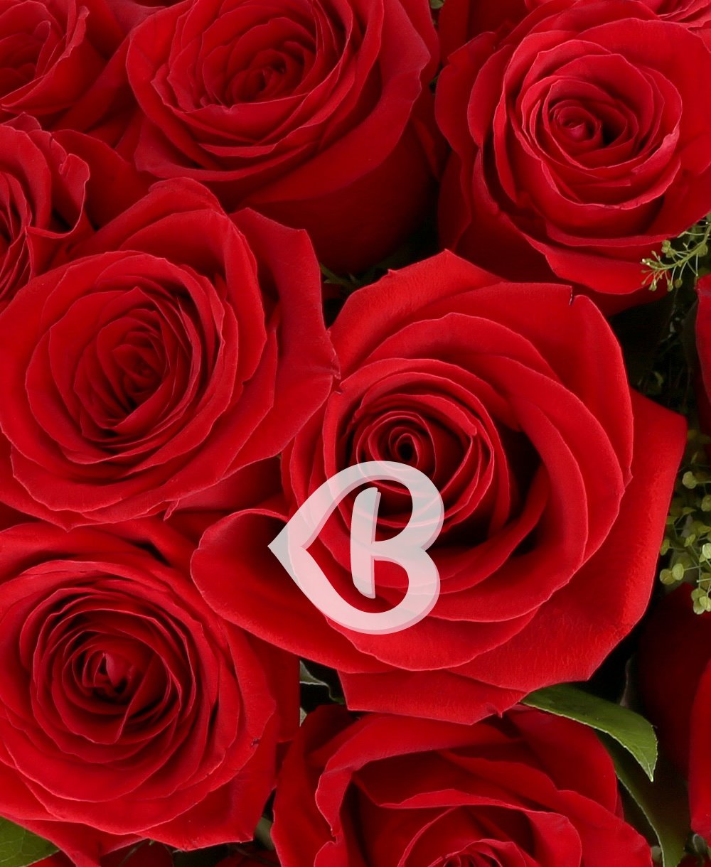Imaginea produsului 25 Trandafiri Minunați Roșii