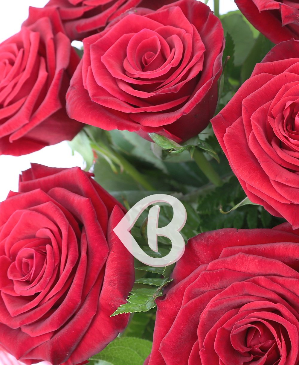 Imaginea produsului 21 Trandafiri Roșii
