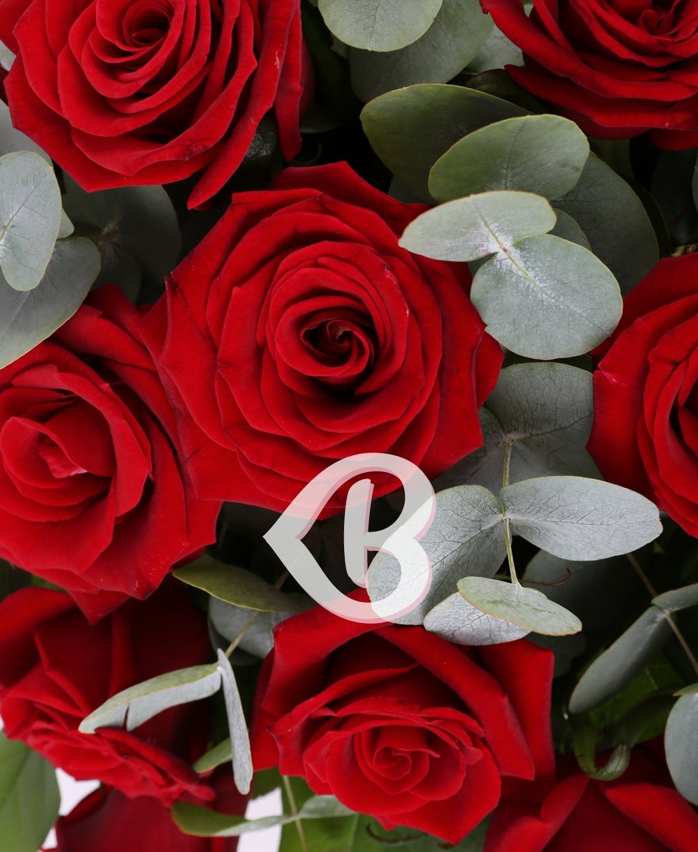 Imaginea produsului 23 Trandafiri Roșii în Coșuleț