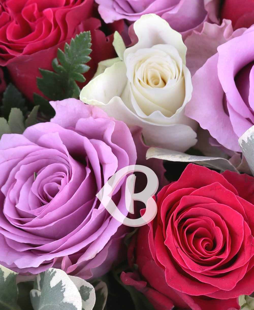 Imaginea produsului Inimă Multicoloră Trandafiri