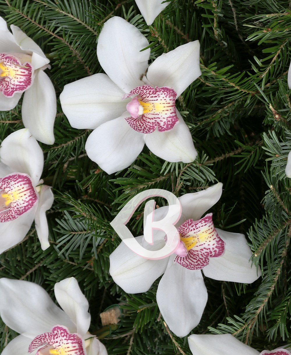 Imaginea produsului Coroană Orhidee
