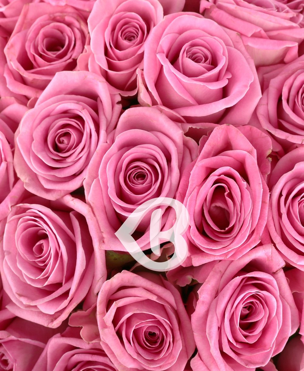Imaginea produsului Buchet 49 Trandafiri Roz
