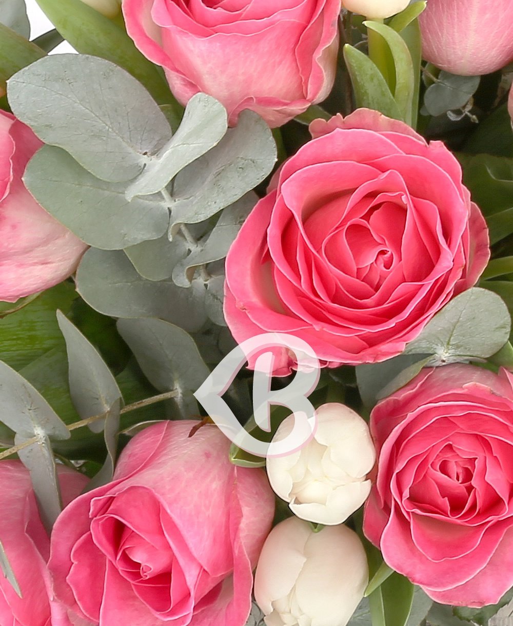 Imaginea produsului Sărutul Trandafirilor