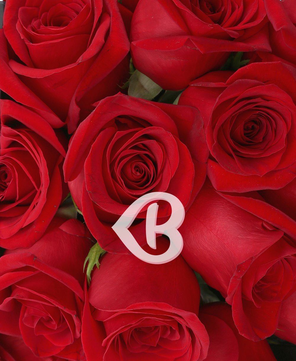 Imaginea produsului 17 Trandafiri Roșii In Cutie
