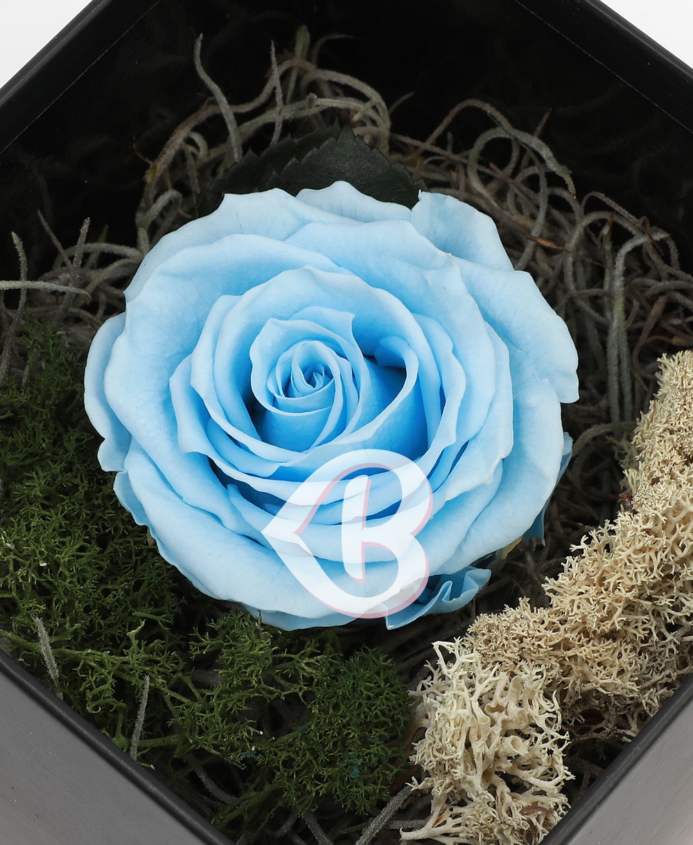 Imaginea produsului Trandafir Bleu Criogenat în Cutie Surpriză