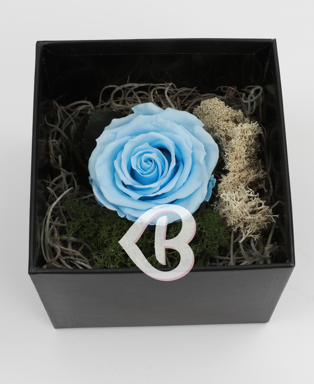 Imaginea produsului Trandafir Bleu Criogenat în Cutie Surpriză