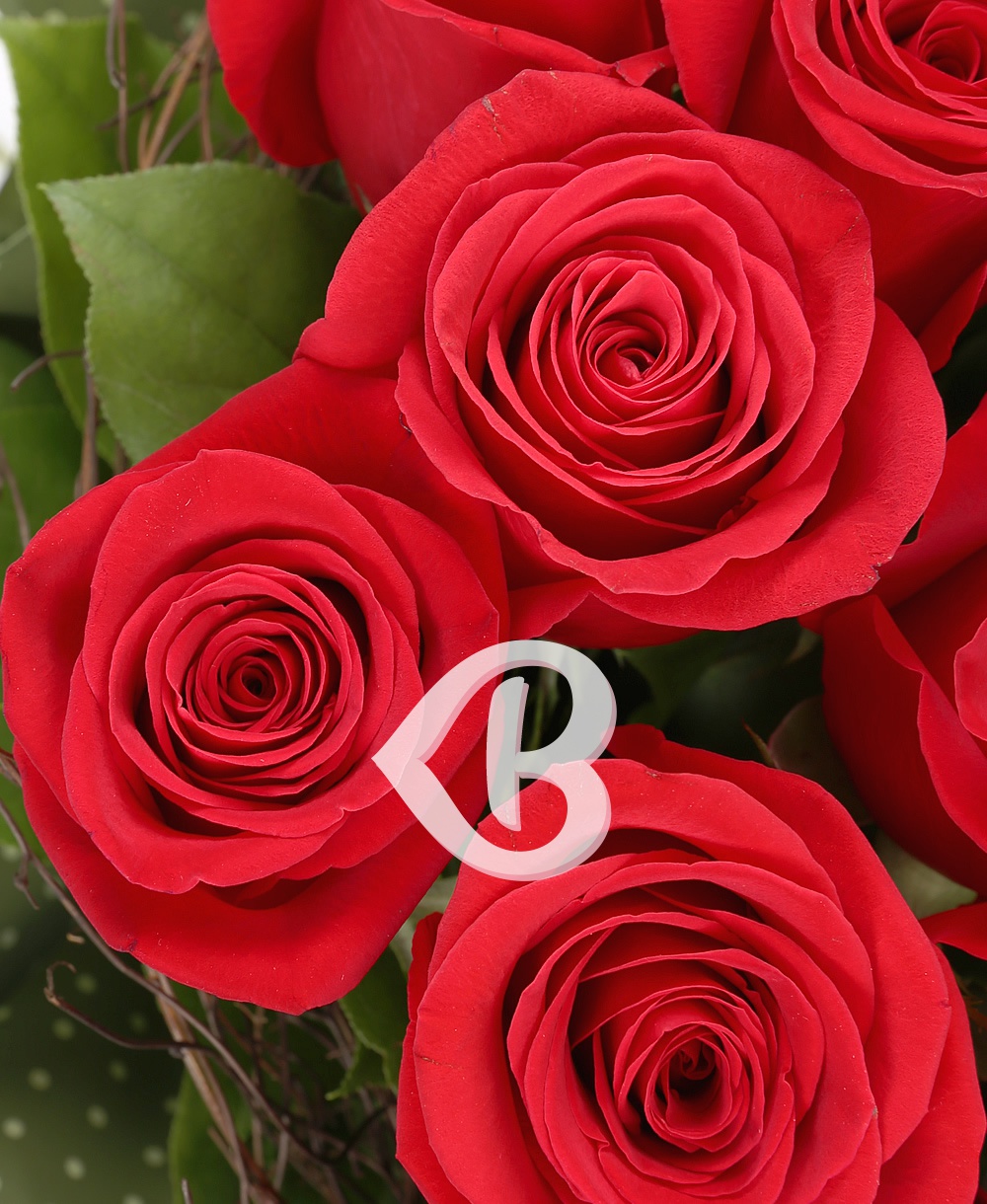 Imaginea produsului 35 Trandafiri Roșii (promo)
