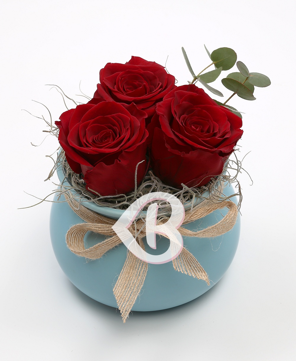 Imaginea produsului Vas Cu 3 Trandafiri Criogenați Roșii