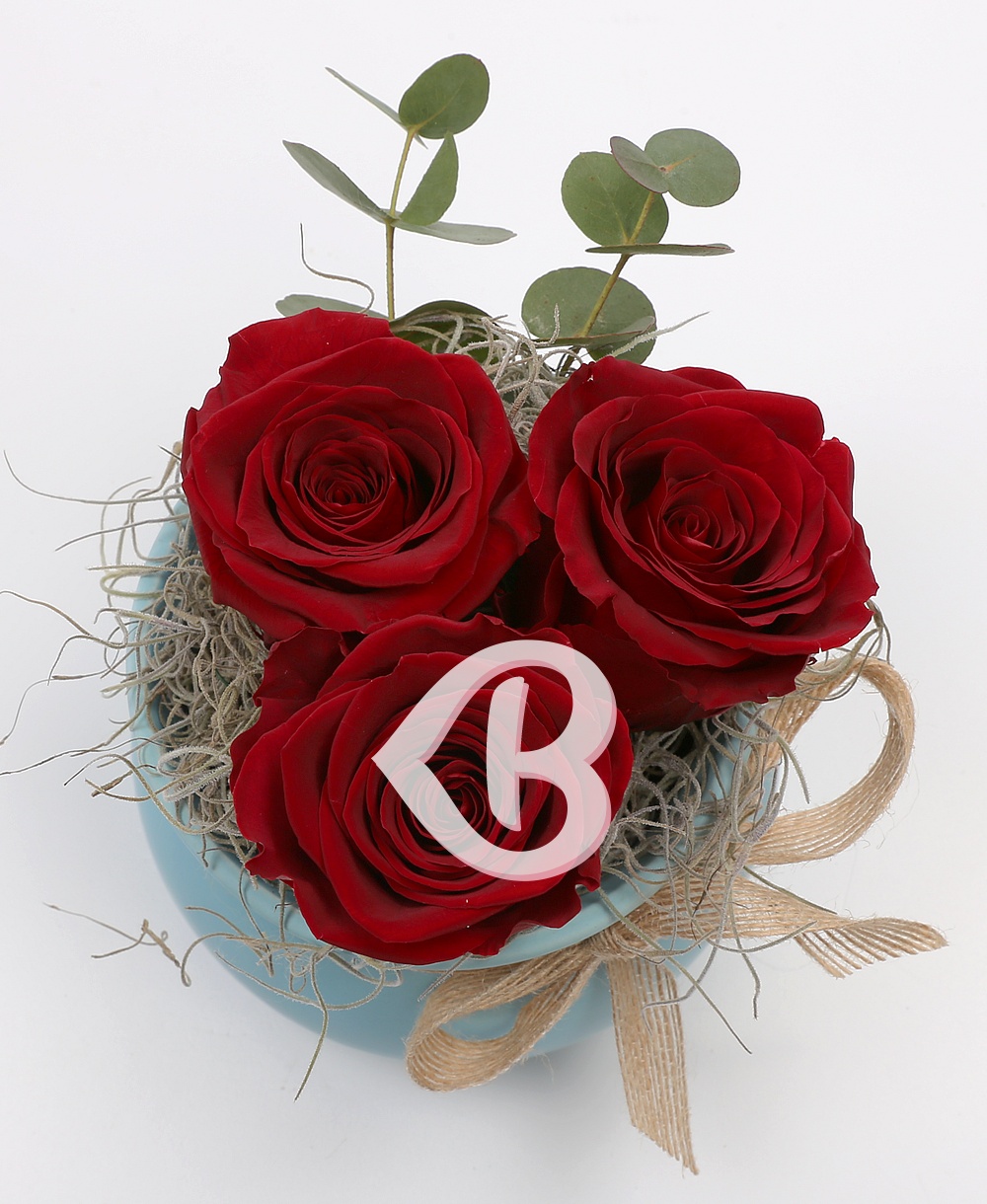 Imaginea produsului Vas Cu 3 Trandafiri Criogenați Roșii
