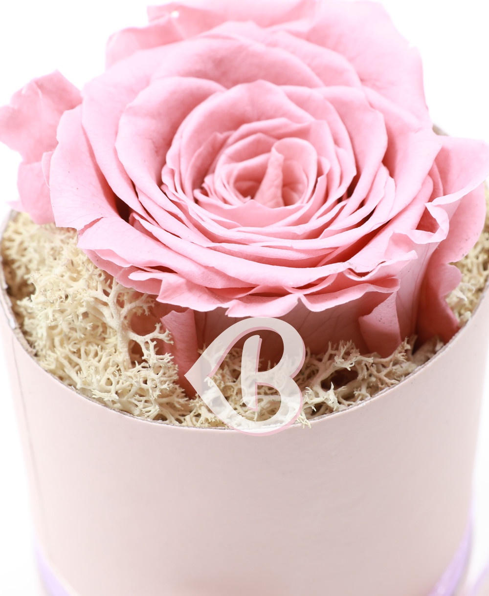 Imaginea produsului Trandafir în Cutie Surpriză
