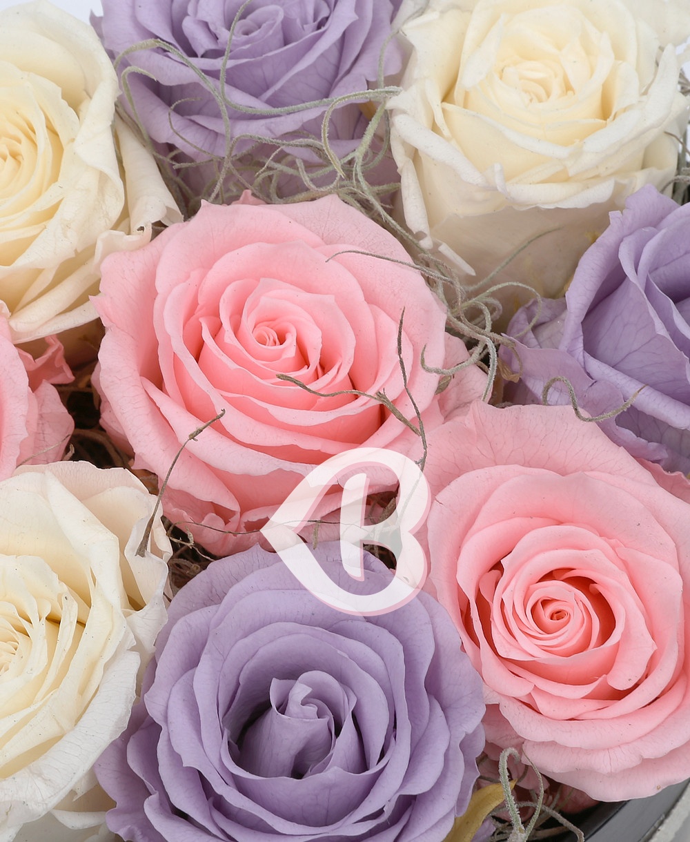 Imaginea produsului Cutie Cu 9 Trandafiri Criogenați Multicolori