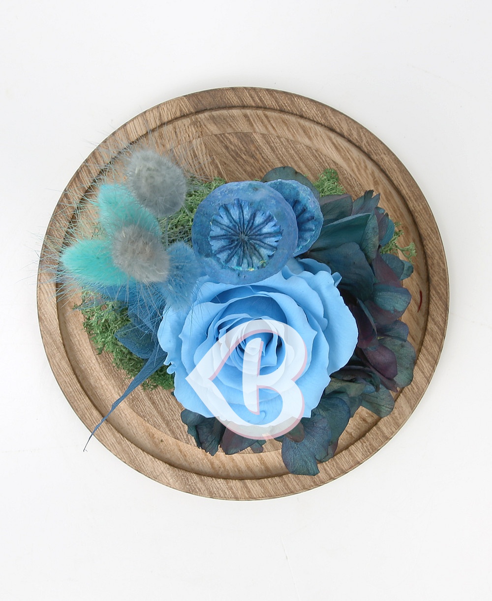 Imaginea produsului Trandafir Bleu Azur în Cupolă