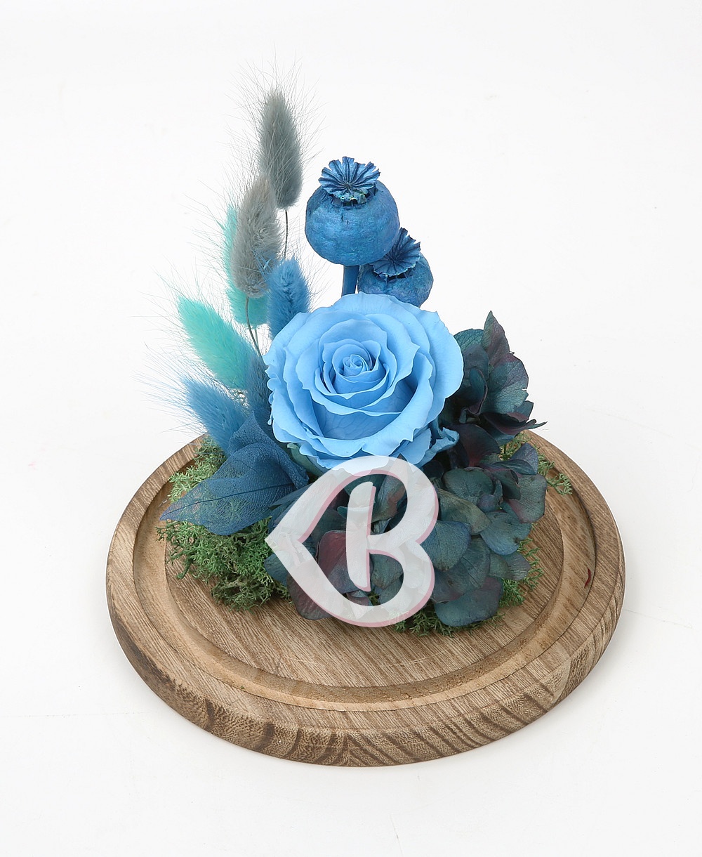 Imaginea produsului Trandafir Bleu Azur în Cupolă