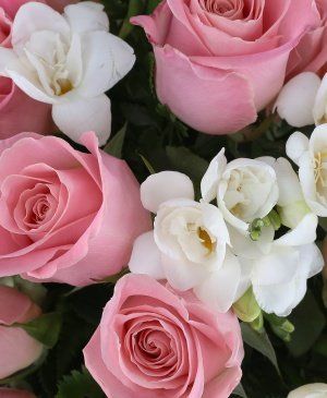 Imaginea produsului Epistola Inmiresmată