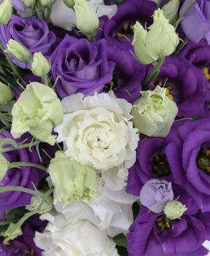 Imaginea produsului Flori De Lisianthus