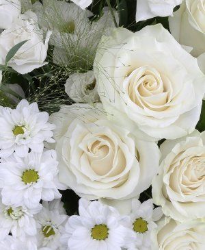 Imaginea produsului Parfumuri Albe