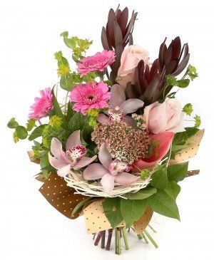 Imaginea produsului Povestea Nuanțelor Imaginea produsului Povestea Nuanțelor