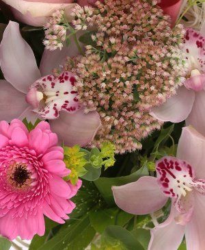 Imaginea produsului Povestea Nuanțelor