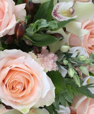 Imaginea produsului Strălucire Magnetică