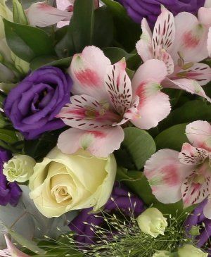 Imaginea produsului Răsărit în Culori