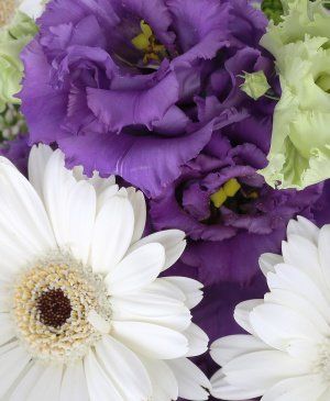 Imaginea produsului Un Mix Bun