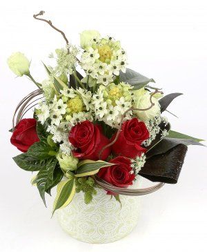 Imaginea produsului Eleganță îndelungată Imaginea produsului Eleganță îndelungată