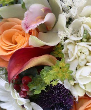 Imaginea produsului Gând Sălbatic