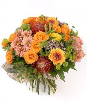 Imaginea produsului Sentimente Nobile Imaginea produsului Sentimente Nobile