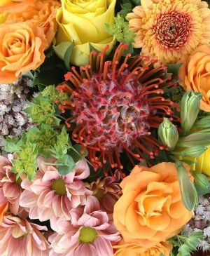 Imaginea produsului Sentimente Nobile