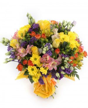 Imaginea produsului Viața în Culori Imaginea produsului Viața în Culori