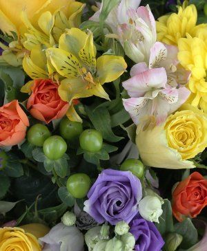 Imaginea produsului Viața în Culori