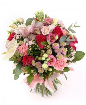 Imaginea produsului Frumusețe Absolută Imaginea produsului Frumusețe Absolută