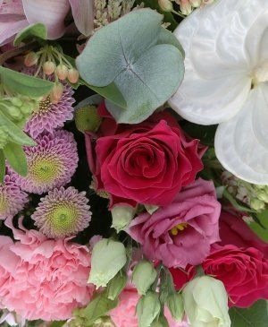 Imaginea produsului Frumusețe Absolută