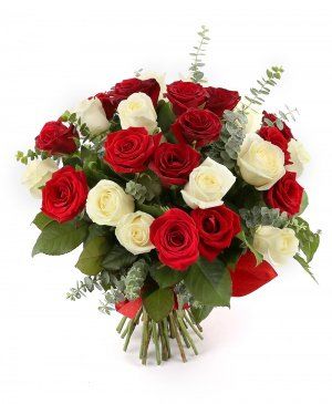 Imaginea produsului Contrast Asortat