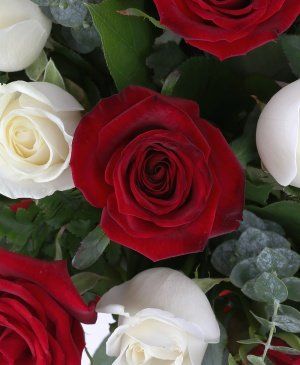 Imaginea produsului Contrast Asortat