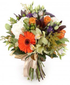 Imaginea produsului Clipe Magice Imaginea produsului Clipe Magice