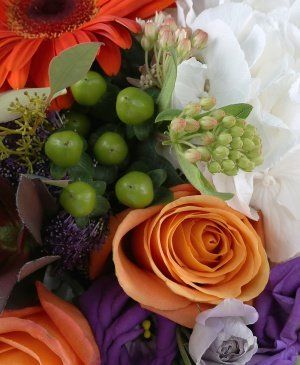 Imaginea produsului Clipe Magice