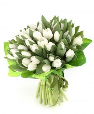 Imaginea produsului 49 Lalele Albe Imaginea produsului 49 Lalele Albe