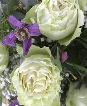 Imaginea produsului Pasiune Inocentă