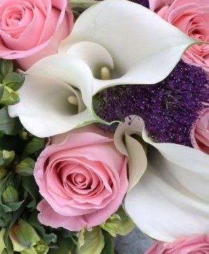 Imaginea produsului Gloria Florilor