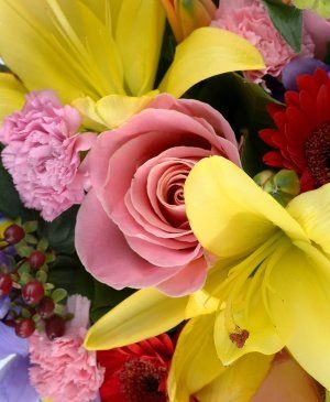 Imaginea produsului Raze Multicolore