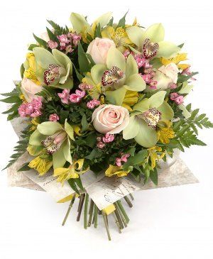 Imaginea produsului Adorație Secretă Imaginea produsului Adorație Secretă