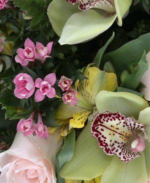 Imaginea produsului Adorație Secretă