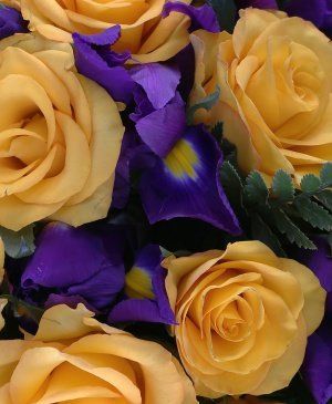 Imaginea produsului Prietenie Complementară