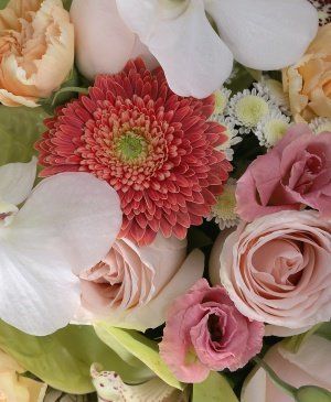 Imaginea produsului Poezia Florilor