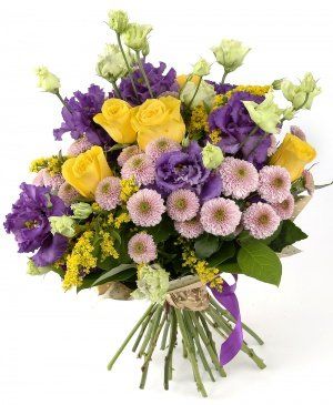 Imaginea produsului Echilibru Armonios Imaginea produsului Echilibru Armonios